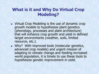 Virtual Crop Modeling for Genetic Improvement and Understanding G x E Interactions