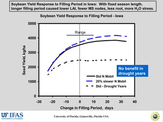 Virtual Crop Modeling for Genetic Improvement and Understanding G x E Interactions