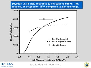 Virtual Crop Modeling for Genetic Improvement and Understanding G x E Interactions