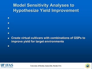 Virtual Crop Modeling for Genetic Improvement and Understanding G x E Interactions