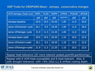 Virtual Crop Modeling for Genetic Improvement and Understanding G x E Interactions
