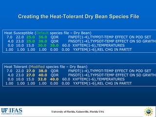 Virtual Crop Modeling for Genetic Improvement and Understanding G x E Interactions
