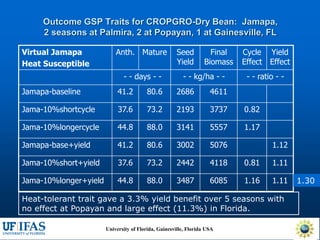 Virtual Crop Modeling for Genetic Improvement and Understanding G x E Interactions