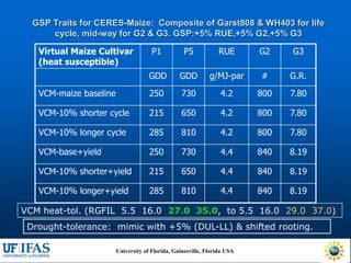 Virtual Crop Modeling for Genetic Improvement and Understanding G x E Interactions