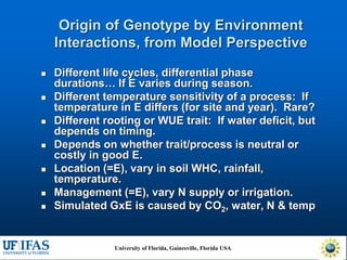Virtual Crop Modeling for Genetic Improvement and Understanding G x E Interactions