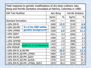 Virtual Crop Modeling for Genetic Improvement and Understanding G x E Interactions