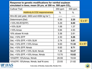 Virtual Crop Modeling for Genetic Improvement and Understanding G x E Interactions