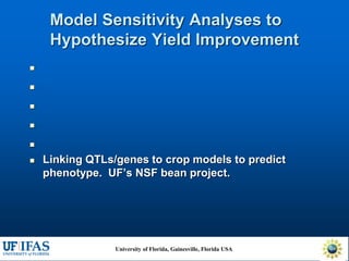 Virtual Crop Modeling for Genetic Improvement and Understanding G x E Interactions