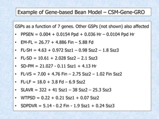 Virtual Crop Modeling for Genetic Improvement and Understanding G x E Interactions