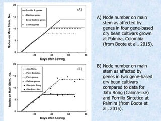 Virtual Crop Modeling for Genetic Improvement and Understanding G x E Interactions