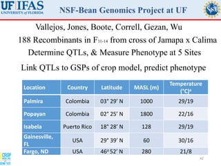 Virtual Crop Modeling for Genetic Improvement and Understanding G x E Interactions