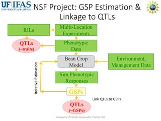 Virtual Crop Modeling for Genetic Improvement and Understanding G x E Interactions