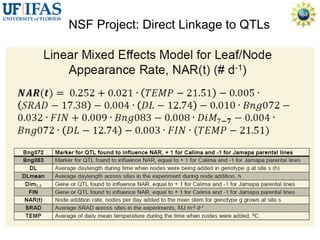 Virtual Crop Modeling for Genetic Improvement and Understanding G x E Interactions