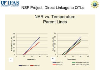 Virtual Crop Modeling for Genetic Improvement and Understanding G x E Interactions