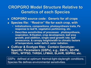 Virtual Crop Modeling for Genetic Improvement and Understanding G x E Interactions