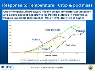 Virtual Crop Modeling for Genetic Improvement and Understanding G x E Interactions
