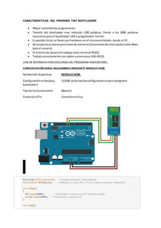 Bootloader | DOCX
