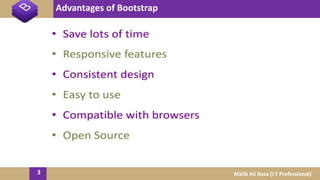 Advantages of Bootstrap
3 Malik Ali Raza (I.T Professional)
 