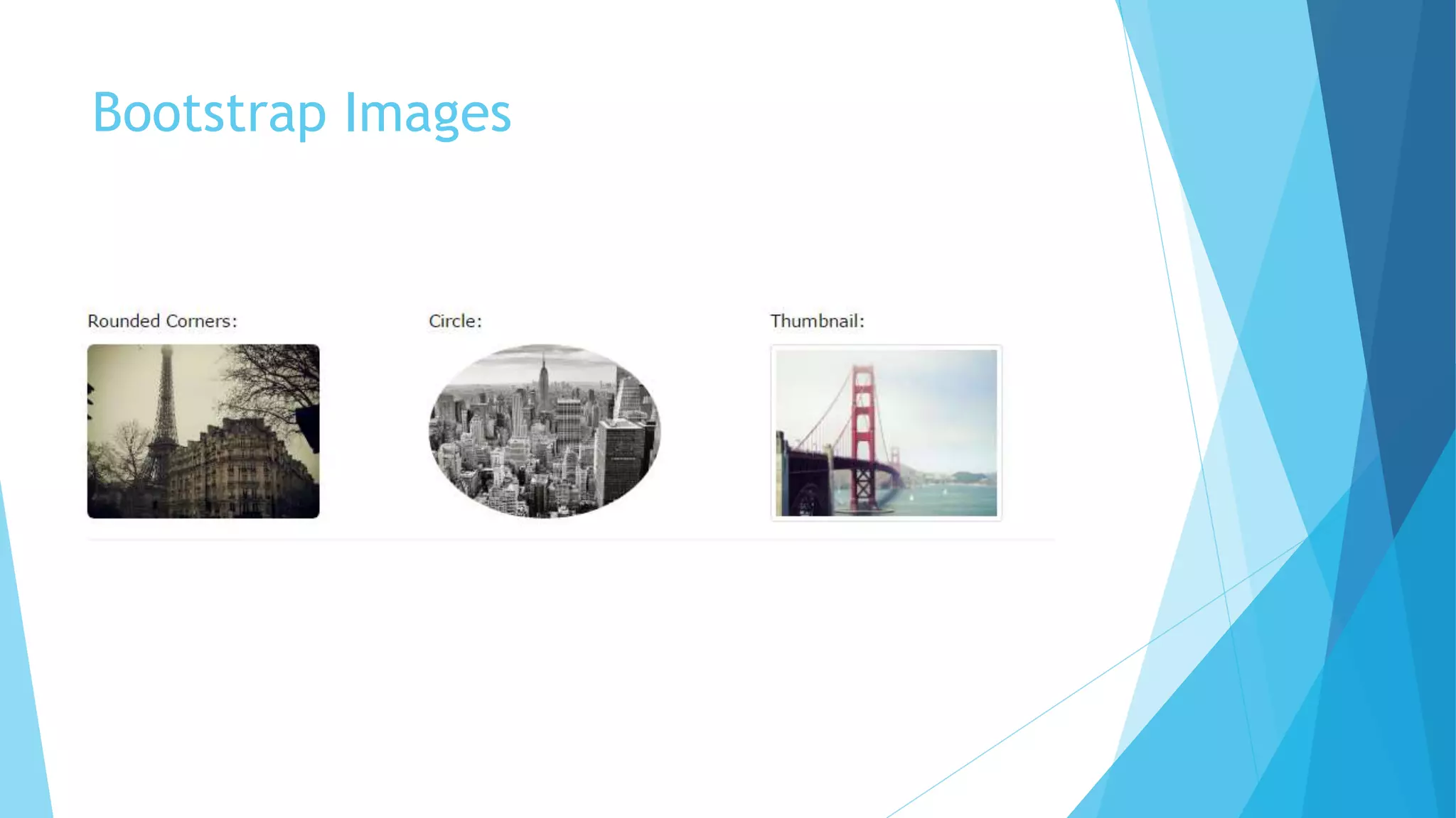 Bootstrap Images
 