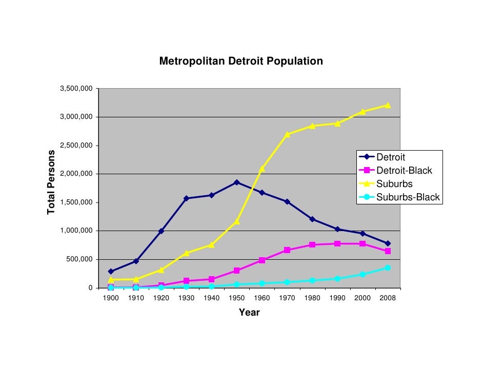 Demographic Overview of Metropolitan Detroit