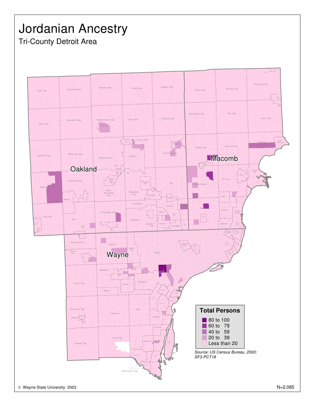 Demographic Overview of Metropolitan Detroit