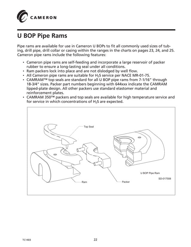 Bop cameron PDF