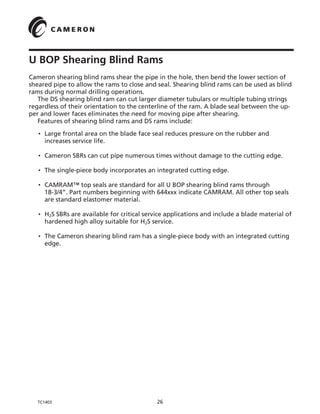 Bop cameron | PDF
