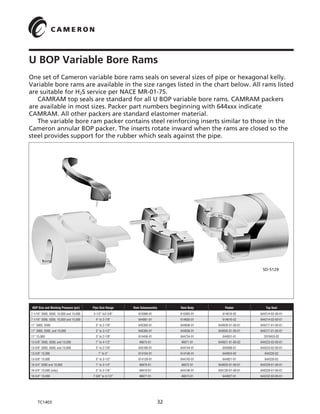 Bop cameron | PDF