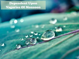 Dependent Upon
Vagaries Of Monsoon
 
