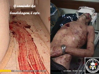 O caminho da  bandidagem é este. 