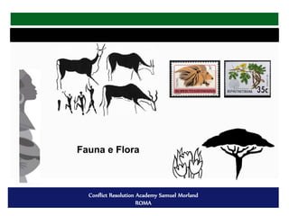 Conflict Resolution Academy Samuel Morland
ROMA
Fauna e Flora
 