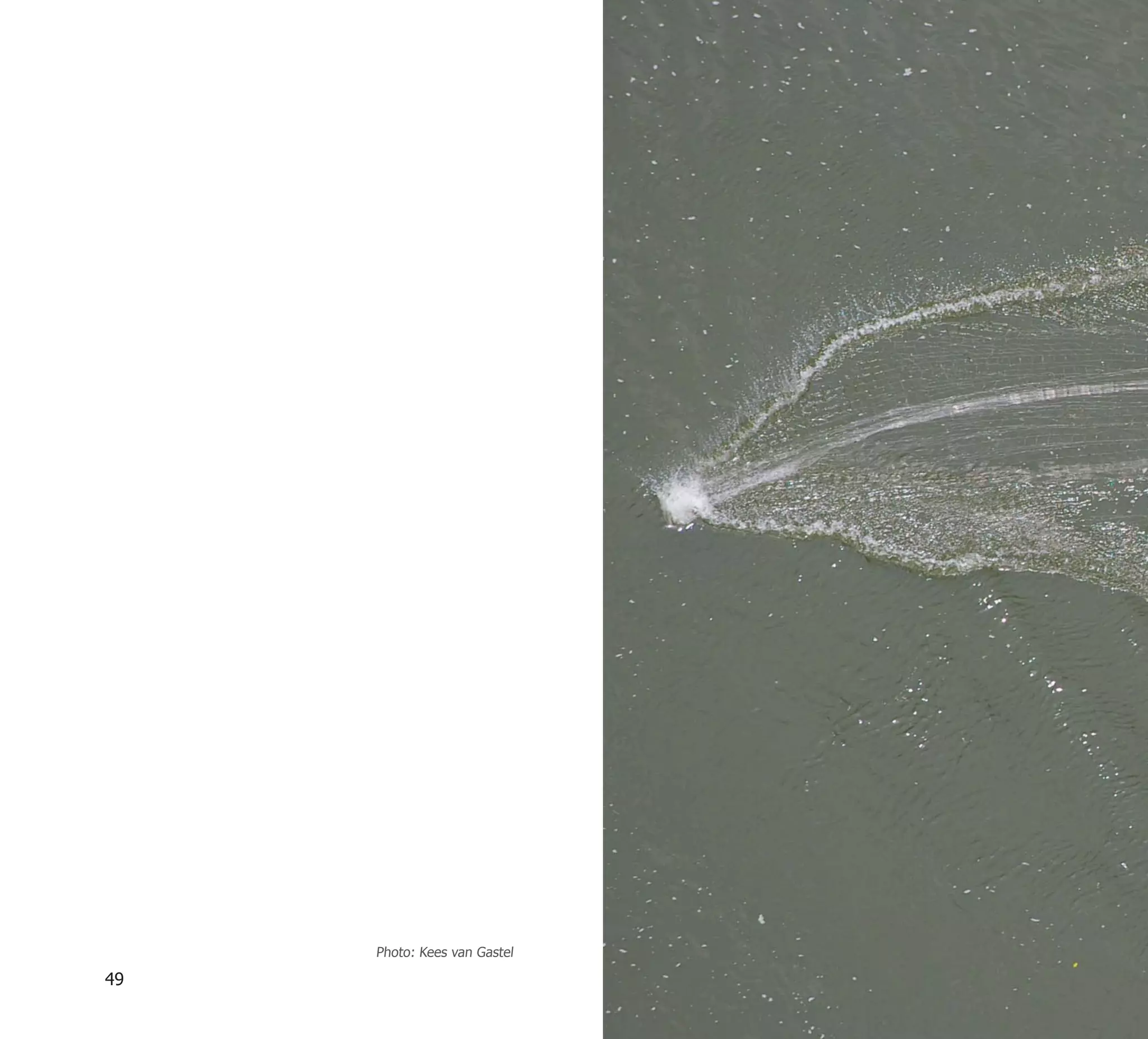 Photo: Kees van Gastel

49
 