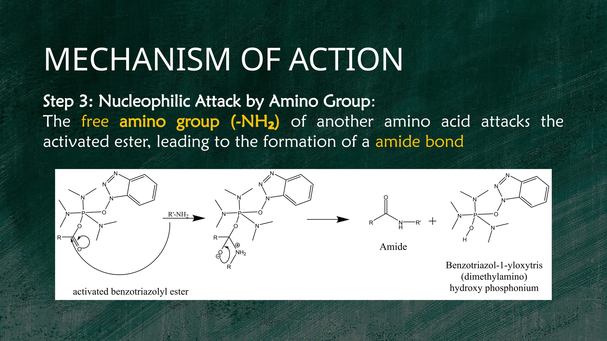 MECHANISM OF ACTION
Step 3: Nucleophilic Attack by Amino Group:
The free amino group (-NH )
₂ of another amino acid attacks the
activated ester, leading to the formation of a amide bond
R N
H
O
R'
Ester
P
N
N
N
O
N
N
N
O
R
O
activated benzotriazolyl ester
R'-NH2
P
N
N
N
O
N
N
N
O
R
NH2
R
O
P
N
N
N
O
N
N
N
O
H
Benzotriazol-1-yloxytris
(dimethylamino)
hydroxy phosphonium
Amide
 