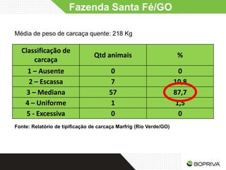 Fazenda Santa Fé/GO

Média de peso de carcaça quente: 218 Kg

  Classificação de
                                 Qtd animais                         %
      carcaça
     1 – Ausente                        0                            0
     2 – Escassa                        7                           10,8
    3 – Mediana                        57                           87,7
    4 – Uniforme                        1                           1,5
    5 - Excessiva                       0                            0
Fonte: Relatório de tipificação de carcaça Marfrig (Rio Verde/GO)
 