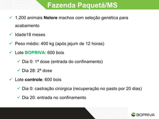Fazenda Paquetá/MS
 1.200 animais Nelore machos com seleção genética para
  acabamento

 Idade18 meses

 Peso médio: 400 kg (após jejum de 12 horas)

 Lote BOPRIVA: 600 bois

    Dia 0: 1ª dose (entrada do confinamento)

    Dia 28: 2ª dose

 Lote controle: 600 bois

    Dia 0: castração cirúrgica (recuperação no pasto por 20 dias)

    Dia 20: entrada no confinamento
 