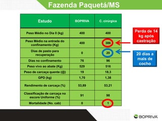Fazenda Paquetá/MS

         Estudo               BOPRIVA   C. cirúrgica


 Peso Médio no Dia 0 (kg)       400         400
                                                       Perda de 14
                                                         kg após
Peso Médio na entrada do
                                400         386
                                                        castração
   confinamento (Kg)
    Dias de pasto para
                                 0          20         20 dias a
       recuperação
  Dias no confinamento          76          96
                                                       mais de
                                                        cocho
  Peso vivo ao abate (Kg)       529         516
Peso de carcaça quente (@)      19         18,3
         GPD (kg)              1,70        1,38

Rendimento de carcaça (%)      53,89       53,21

Classificação de carcaça no
                                91          98
   escore Uniforme (%)
   Mortalidade (No. cab)         0           1
 
