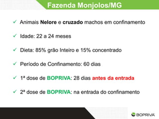 Fazenda Monjolos/MG

 Animais Nelore e cruzado machos em confinamento

 Idade: 22 a 24 meses

 Dieta: 85% grão Inteiro e 15% concentrado

 Período de Confinamento: 60 dias

 1ª dose de BOPRIVA: 28 dias antes da entrada

 2ª dose de BOPRIVA: na entrada do confinamento
 