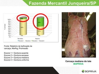 Fazenda Mercantil Junqueira/SP


                          0%
                          6%
            100%
             90%
             80%                                       49%
% carcaça




             70%
             60%
                         94%
             50%
             40%
             30%                                       51%
             20%
             10%          0%                           0%
              0%
                   Boi inteiro                  Bopriva
                     Escore 1    Escore 2   Escore 3    Escore 4



Fonte: Relatório de tipificação de
carcaça, Marfrig, Promissão

Escore 1 = Gordura ausente
Escore 2 = Gordura escassa
Escore 3 = Gordura mediana
Escore 4 = Gordura uniforme
                                                                   Carcaça mediana do lote
                                                                          BOPRIVA
 