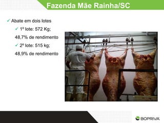 Fazenda Mãe Rainha/SC
 Abate em dois lotes
    1º lote: 572 Kg;
   48,7% de rendimento
    2º lote: 515 kg;
   48,9% de rendimento
 