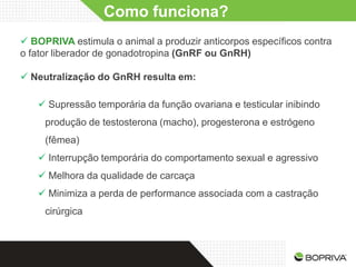 Como funciona?
 BOPRIVA estimula o animal a produzir anticorpos específicos contra
o fator liberador de gonadotropina (GnRF ou GnRH)

 Neutralização do GnRH resulta em:

    Supressão temporária da função ovariana e testicular inibindo
     produção de testosterona (macho), progesterona e estrógeno
     (fêmea)
    Interrupção temporária do comportamento sexual e agressivo
    Melhora da qualidade de carcaça
    Minimiza a perda de performance associada com a castração
     cirúrgica
 