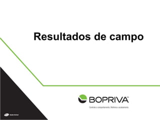 Resultados de campo
 
