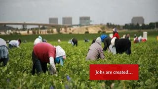 Jobs are created…
 