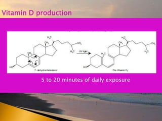 5 to 20 minutes of daily exposure
Vitamin D production
 