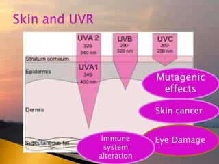 Mutagenic
effects
Eye DamageImmune
system
alteration
Skin cancer
 