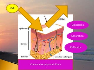 Absorption
Dispersion
UVR
Chemical or physical filters
Reflection
 