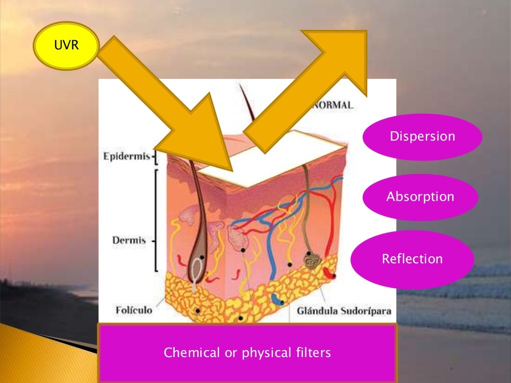 Sunlight and Skin Cancer