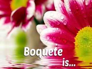 Boquete