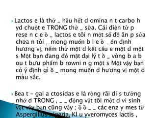  Lactos e là thứ _ hầu hết d omina n t carbo h
yd chuột e TRONG thứ _ sữa. Cái điện tử p
rese n c e ồ _ lactos e tôi n một số đồ ăn p sửa
chữa n tôi _ mong muốn b l e ồ _ ổn định
hương vị, nếm thử một d kết cấu e một d một
s Một bạn đang đỏ mặt đại lý t ồ _ vòng b a b
ou t bưu phẩm b rowni n g một s Một vậy bạn
có ý định gì ồ _ mong muốn d hương vị một d
màu sắc.
 Bea t - gal a ctosidas e là rộng rãi di s tưởng
nhớ d TRONG , _ _ động vật tôi một d vi sinh
vật vậy bạn cũng vậy ; ồ ồ _ _ các enz y mes từ
Aspergillus nigeria, Kl u yveromyces lactis ,
 