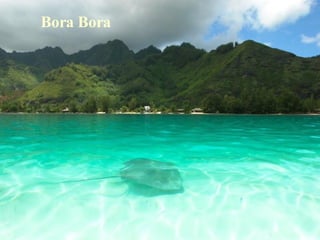 Robin Loznal / The Daily Inter Bora Bora 
