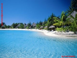 [email_address] By PACHEMOL 